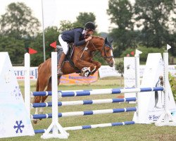 Dressurpferd Captain Cook (Deutsches Reitpony, 2007, von FS Champion de Luxe)