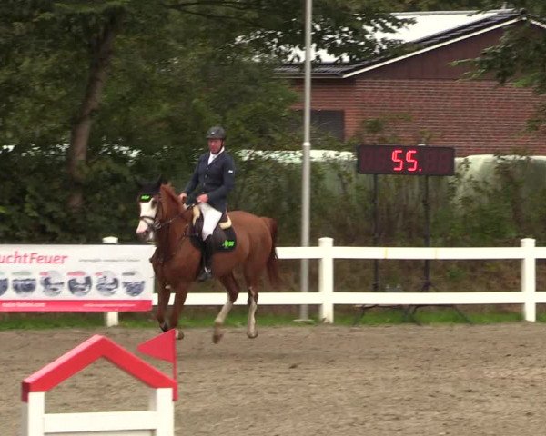 Reitturnier Mildstedt 2022