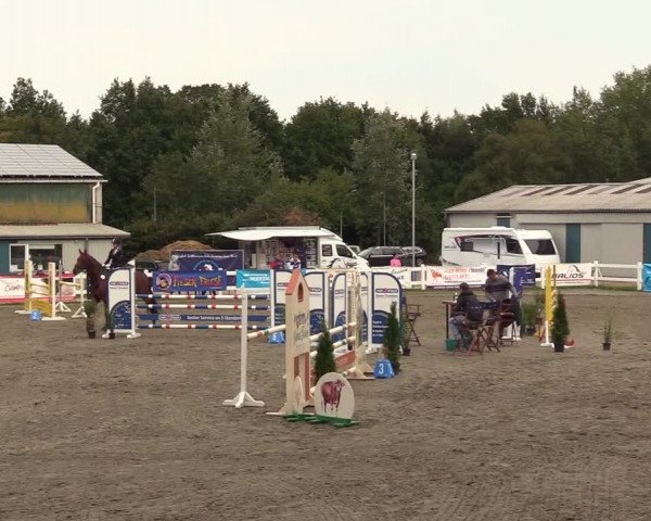 Reitturnier Mildstedt 2022