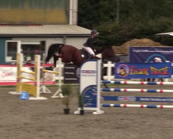 Reitturnier Mildstedt 2022