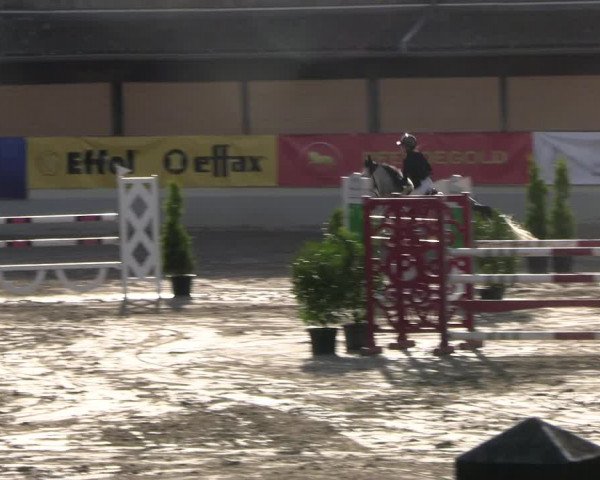 Reitturnier Wachtberg-Adendorf 2022