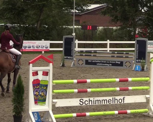 Reitturnier Mildstedt 2022