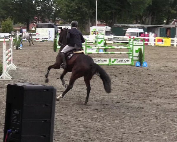Reitturnier Mildstedt 2022