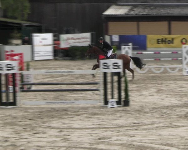Reitturnier Wachtberg-Adendorf 2022