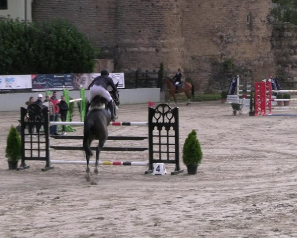 Reitturnier Wachtberg-Adendorf 2022
