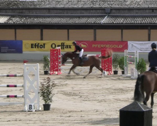 Reitturnier Wachtberg-Adendorf 2022
