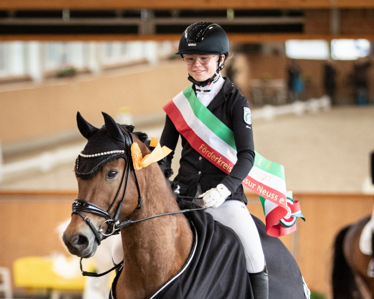 Dressurpferd Wiechhof's Myran (New-Forest-Pony, 2007, von Morning Sun)