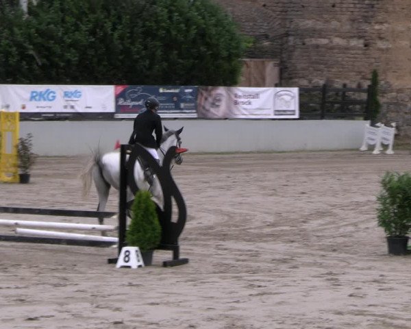 Reitturnier Wachtberg-Adendorf 2022