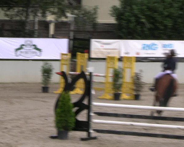 Reitturnier Wachtberg-Adendorf 2022