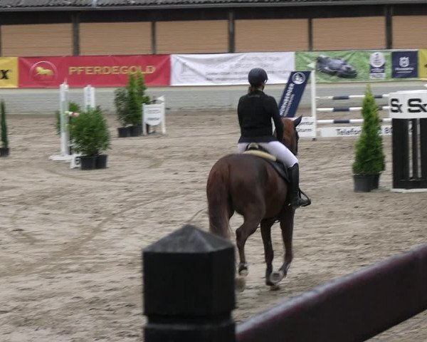 Reitturnier Wachtberg-Adendorf 2022
