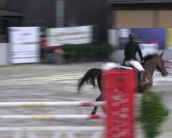 Reitturnier Wachtberg-Adendorf 2022