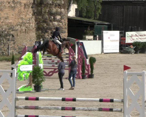Reitturnier Wachtberg-Adendorf 2022