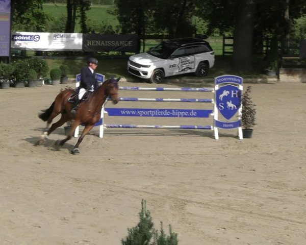 Reitturnier Wachtberg-Adendorf 2022
