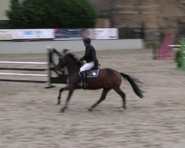 Reitturnier Wachtberg-Adendorf 2022