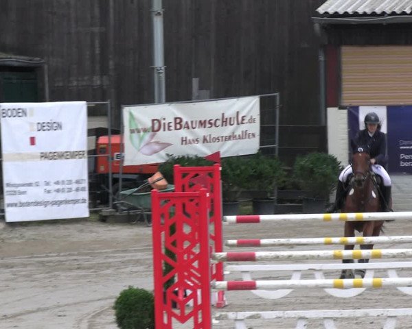Reitturnier Wachtberg-Adendorf 2022