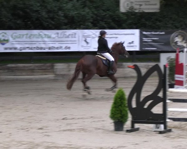 Reitturnier Wachtberg-Adendorf 2022