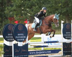 jumper Katniss 7 (Holsteiner, 2017, from Uriko)