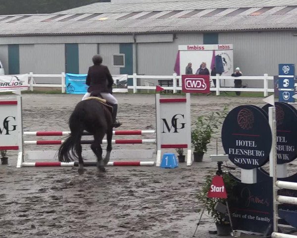 Reitturnier Mildstedt 2022