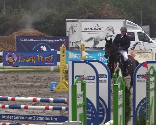 Reitturnier Mildstedt 2022