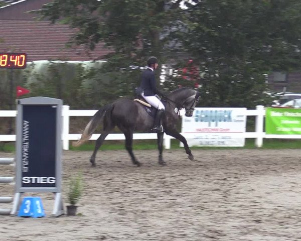 Reitturnier Mildstedt 2022