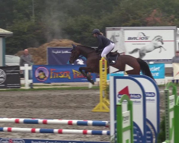 Reitturnier Mildstedt 2022