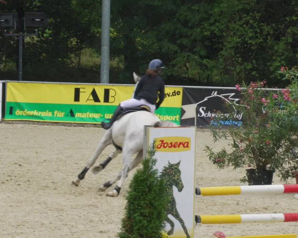 Reitturnier Karlsfeld/Obb. 2022