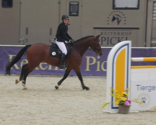 Reitturnier Karlsfeld/Obb. 2022