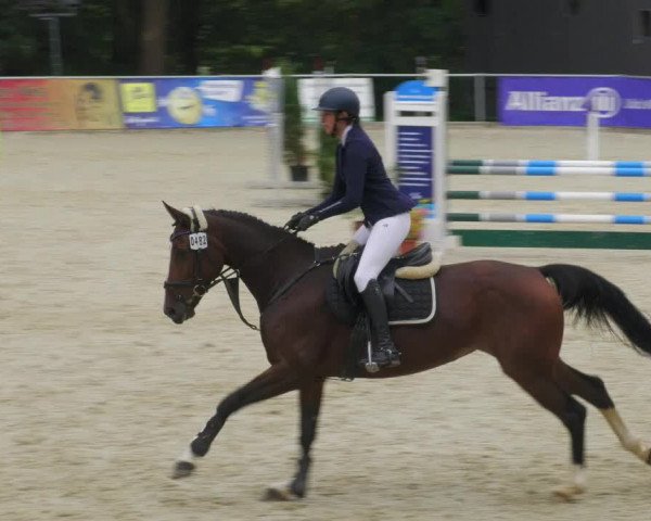 Reitturnier Karlsfeld/Obb. 2022