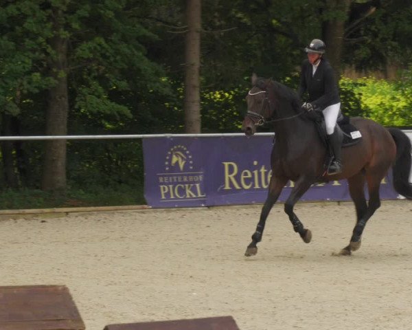 Reitturnier Karlsfeld/Obb. 2022