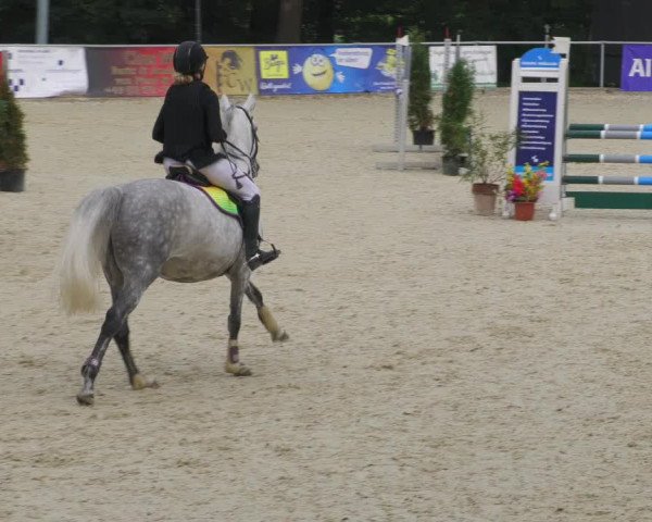 Reitturnier Karlsfeld/Obb. 2022