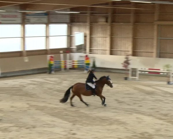 Reitturnier Winterthur 2022