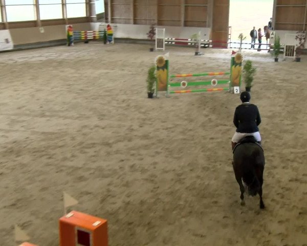 Reitturnier Winterthur 2022