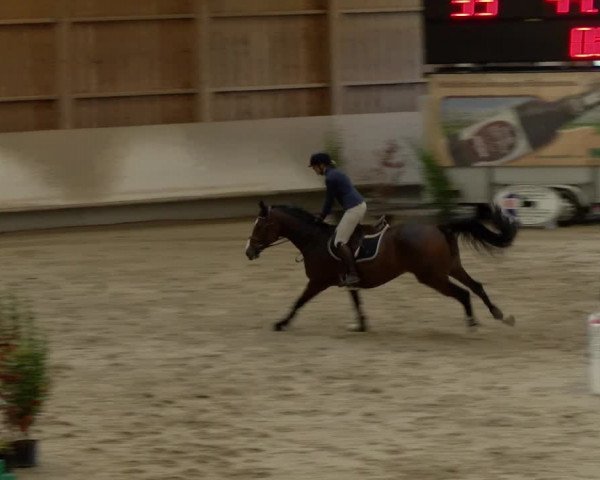 Reitturnier Winterthur 2022