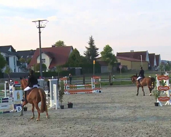 Reitturnier Poxdorf/Ofr 2022