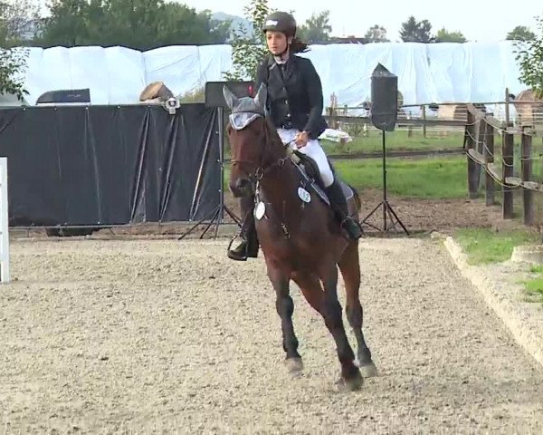 Reitturnier Poxdorf/Ofr 2022