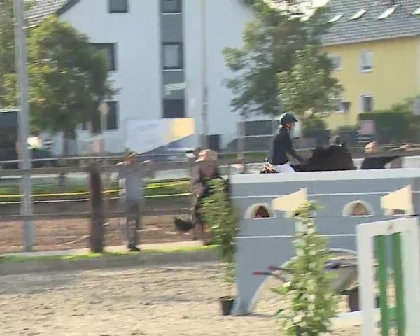Reitturnier Poxdorf/Ofr 2022