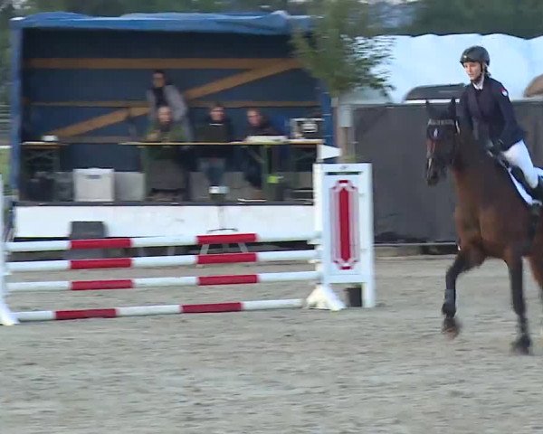 Reitturnier Poxdorf/Ofr 2022