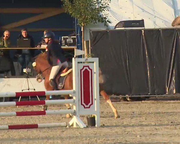 Reitturnier Poxdorf/Ofr 2022