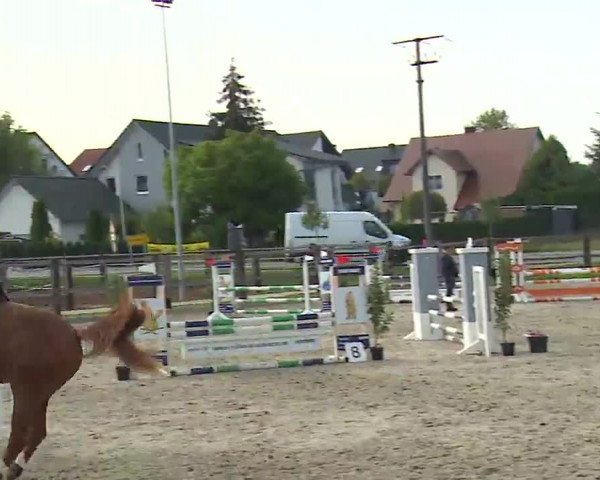 Reitturnier Poxdorf/Ofr 2022