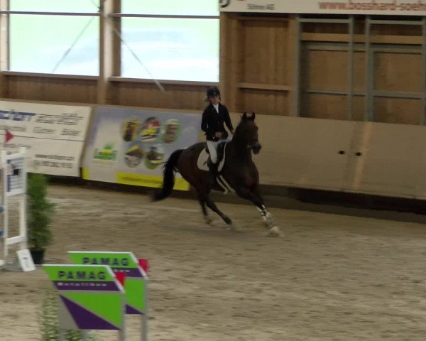 Reitturnier Winterthur 2022