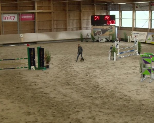 Reitturnier Winterthur 2022
