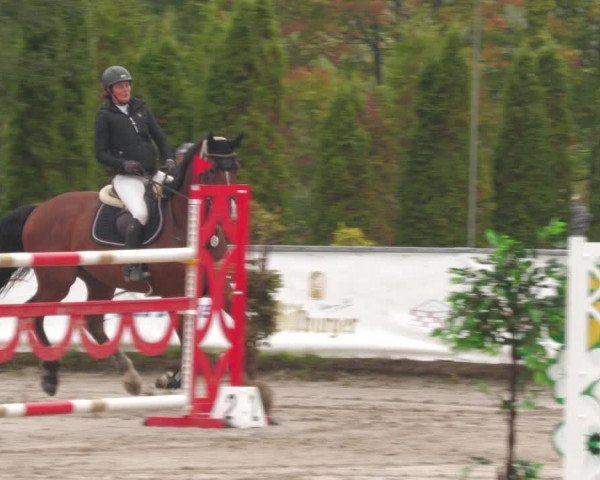 Reitturnier Neunkirchen-City 2022
