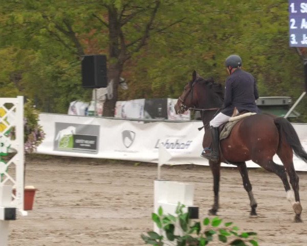 Reitturnier Neunkirchen-City 2022
