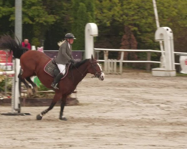 Reitturnier Neunkirchen-City 2022