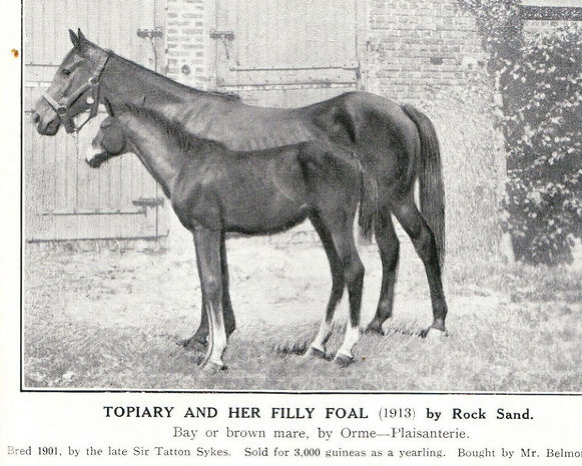 Zuchtstute Topiary xx (Englisches Vollblut, 1901, von Orme xx)