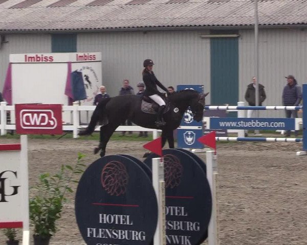 Reitturnier Mildstedt 2022
