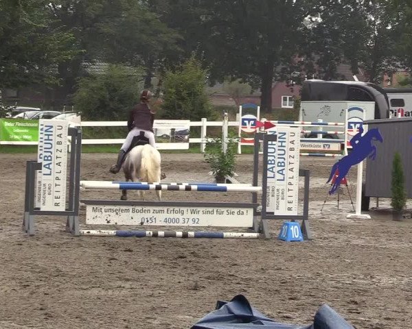 Reitturnier Mildstedt 2022