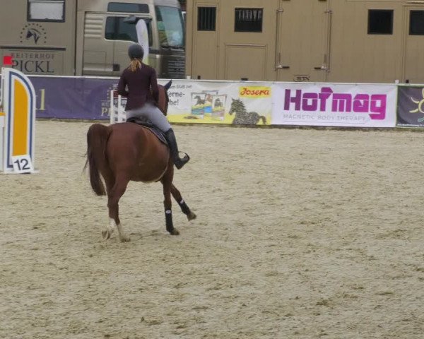 Reitturnier Karlsfeld/Obb. 2022