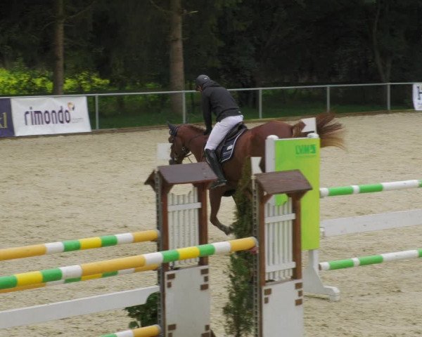 Reitturnier Karlsfeld/Obb. 2022