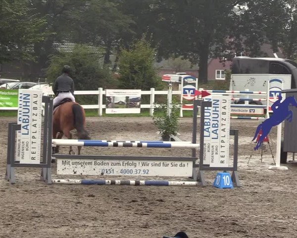 Reitturnier Mildstedt 2022